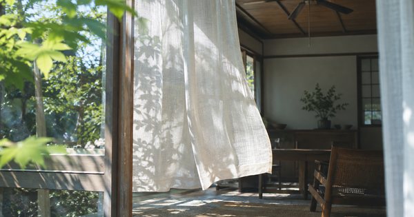 緑の木陰と薄いカーテン越しの夏の日差しが入る室内