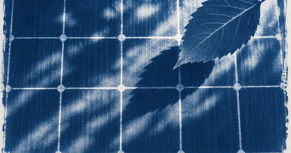 青写真のような太陽電池セルの格子に落ちる葉の影