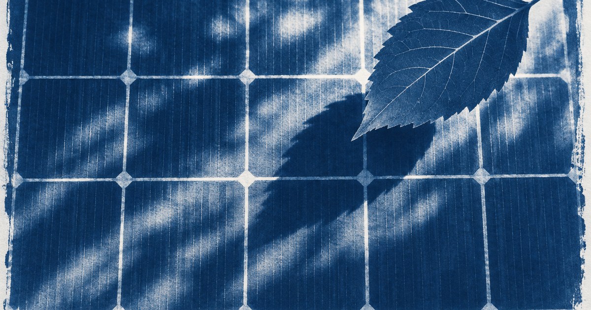 青写真のような太陽電池セルの格子に落ちる葉の影